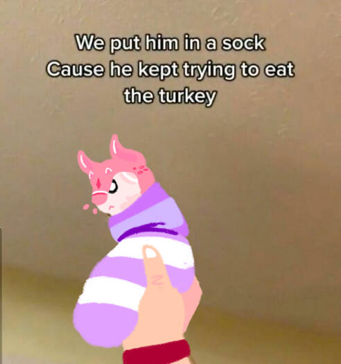 Meme